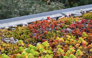 the cost of Stewarton green roof installation