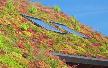 Stewarton living roof systems
