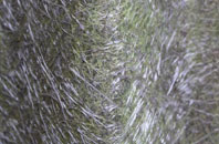 Stewarton fibreglass roof work